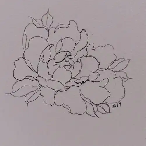 牡丹真国色应该是牡丹吧花简笔画含教程