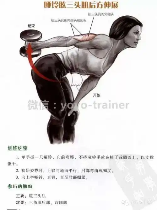 肱三头肌训练动作大全,教材帖,建议收藏!-搜狐