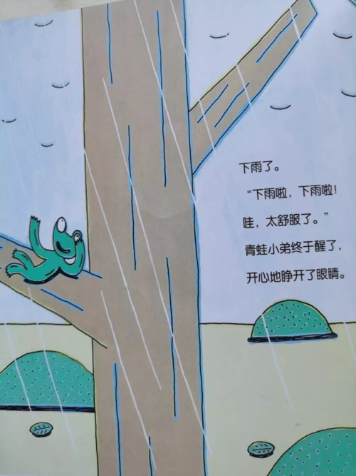 沙湖绿洲幼儿园 中班 绘本故事《青蛙小弟睡午觉》