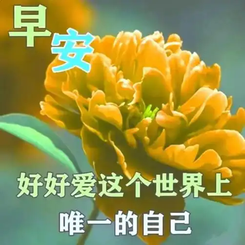早上好问候语祝福朋友彼此牵挂