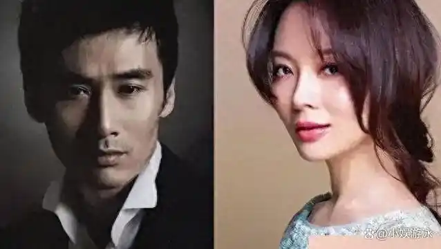 柳云龙陈数离婚内幕!现任妻子牵连?真相竟是如此