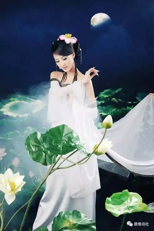 人间灾起天河倾侧仙境与凡尘同演情痴情浓七夕铺叠出深痕浅迹的情缘