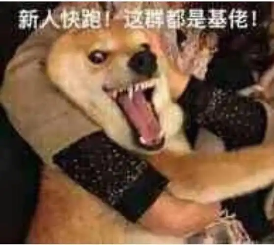 新入快跑这群都是基佬doge基佬这群新入表情