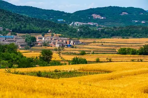 美丽乡村碾槽洼 - 美篇