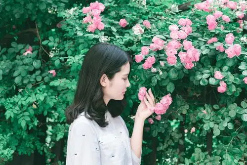 闻花未名 修  (21)