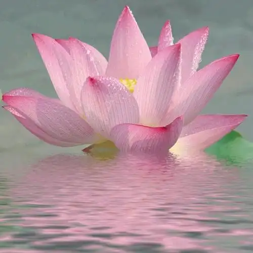 简单的头像干净大方 高清好看简单的微信头像干净简约图片_微信头像