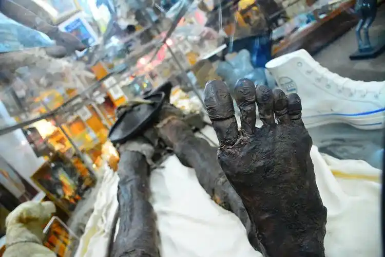 双头巨人木乃伊,据说生前与西班牙殖民者激烈搏斗,是食人魔吗?