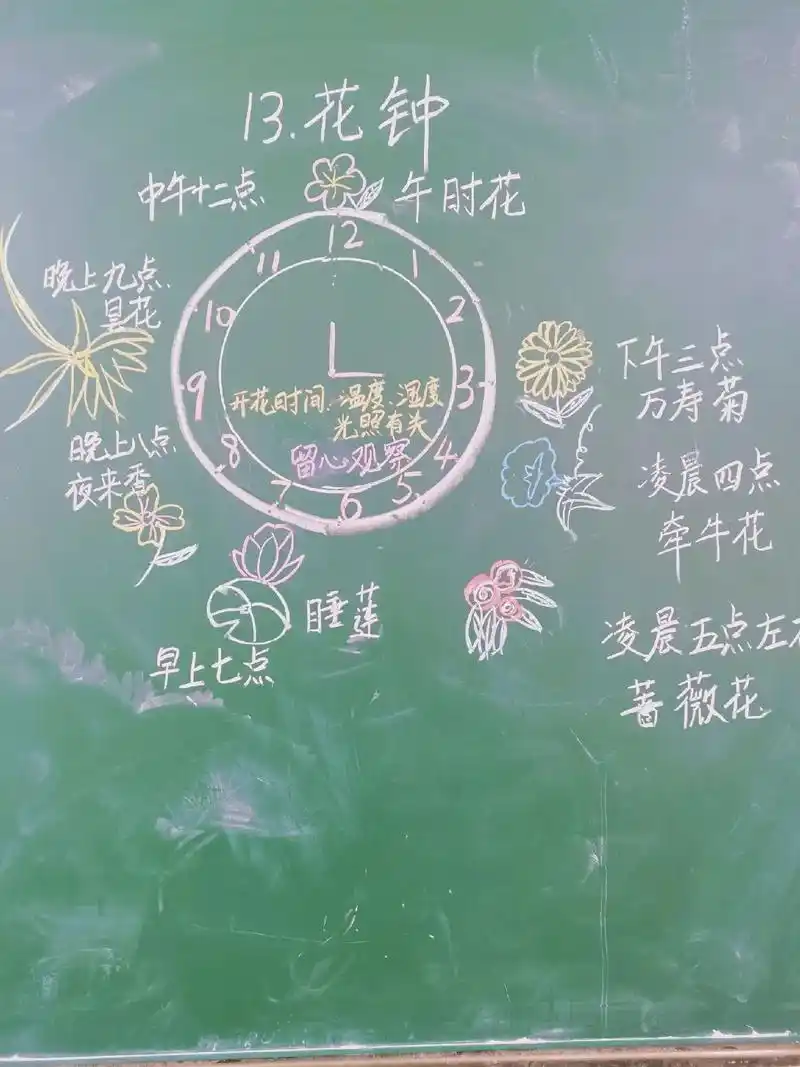 三年级下册第13课花钟课堂笔记,板书是看人家优秀老师画的,有 - 抖音