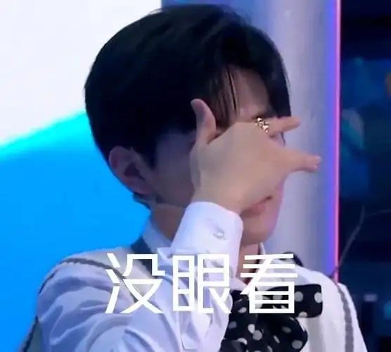 没眼看张真源表情包