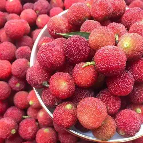 有人吃杨梅喜欢用盐腌一下再吃吗?