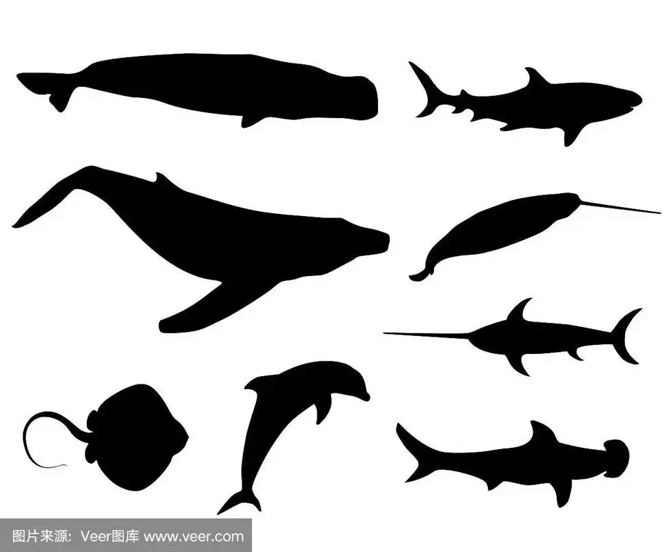 海洋生物剪影集