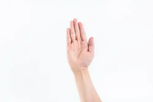 一只手的各种手势 并拢