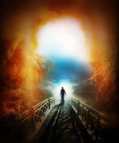 为什么所有生命最终都会走向死亡这是否代表着永远的消失