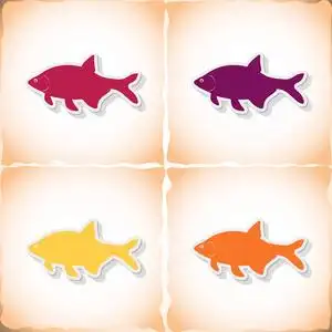 鲷鱼.平贴纸和旧纸上的影子照片