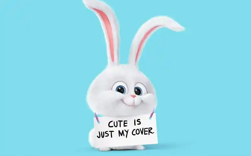 【翻配练习】《爱宠大机密》剪辑片段