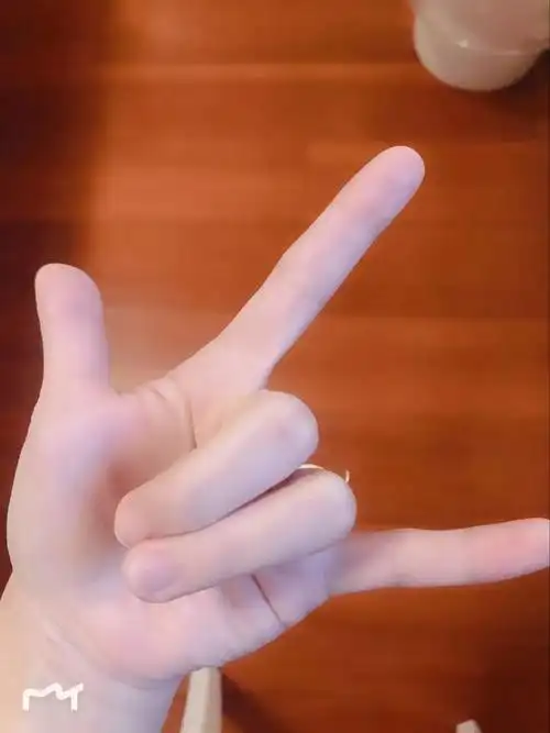 (帅气的6 1手势,请忽略冰宝不好看的手,看的是"内涵")特别声明:以上