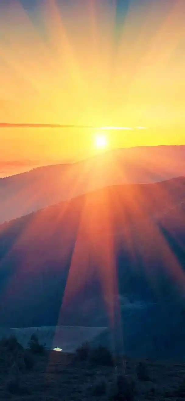 充满阳光这壁纸爱了爱了