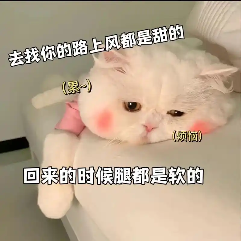 去找你的路上风是甜的回来的路上腿是软的#日常套路表情包 #情 - 抖音