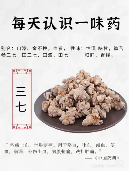 每天认识一味药三七