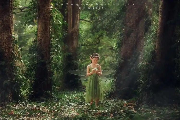 森林里的小精灵