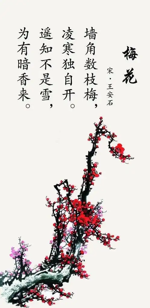 五年级每日悦读——有关梅花的诗词