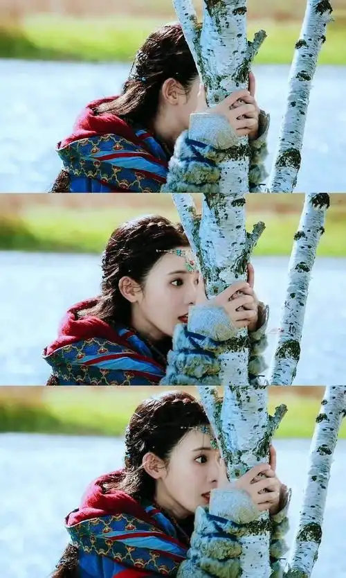 东宫小枫,可爱女鹅