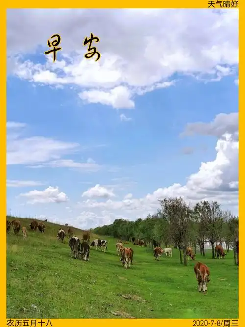 七月你好!(七月早安图)