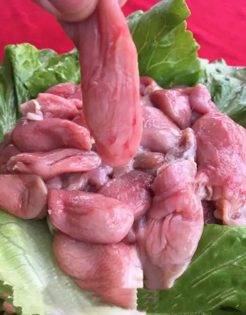 【生鲜店】新鲜鱼肚青斑红斑石斑鱼肚巴沙鱼肚鱼胶鱼杂火锅烧烤 酒店