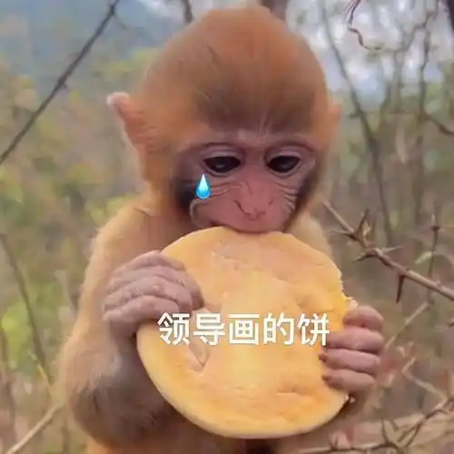 搞笑沙雕表情包:苦笑不得_生活_公众_熊猫头