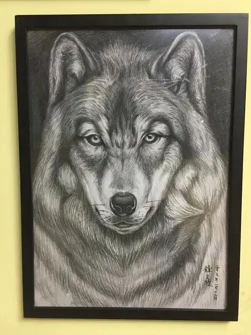 狼- 原创作品 - 站酷(zcool)