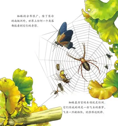 儿童绘本故事推荐《昆虫世界乐开怀上》