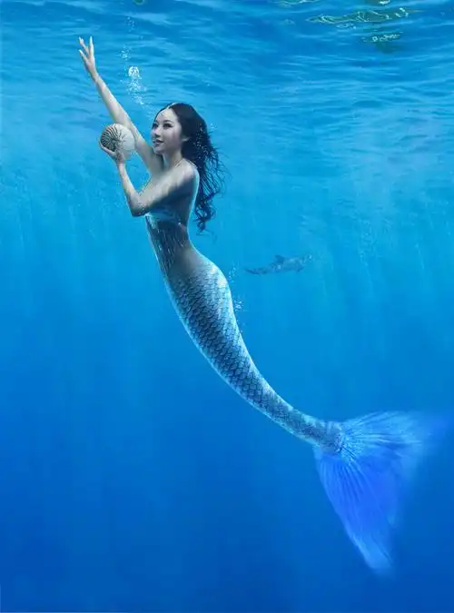 一条美丽的美人鱼