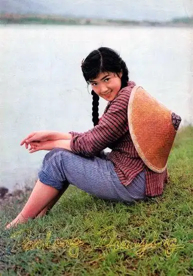 盘点上世纪80年代的绝色美女明星组图7