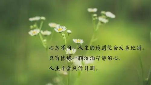 关于美好人生的心情说说治愈句子图片