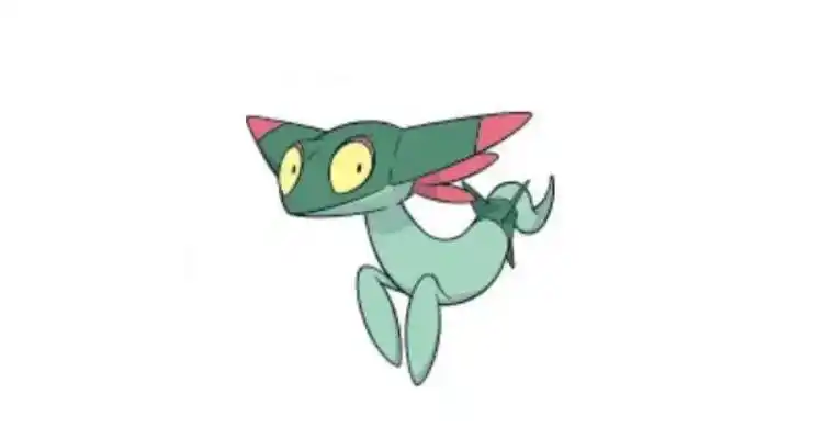 多龙巴鲁托性格配招是什么