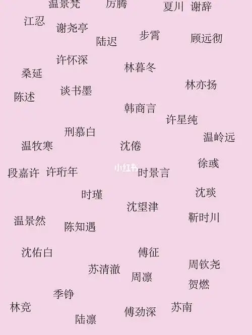 各种小说男主名字