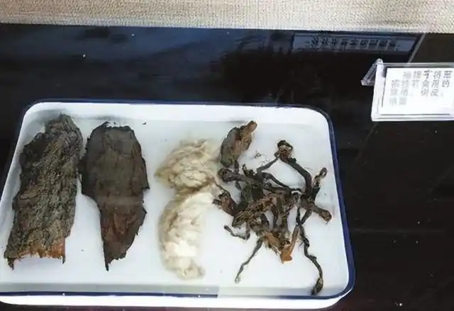 杨靖宇牺牲8年后遗首被找到,老抗联战士泪如雨下:是杨将军的头