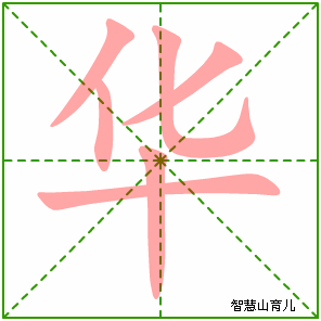 华的笔顺拼音及解释