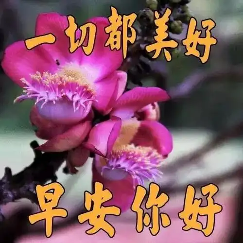 2021大年初八朋友圈早上好祝福动态表情图片 正月