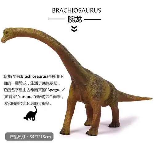 20 写美篇3月20日上午 活动名称:《腕龙和梁龙》 活动目标:1,了解腕龙