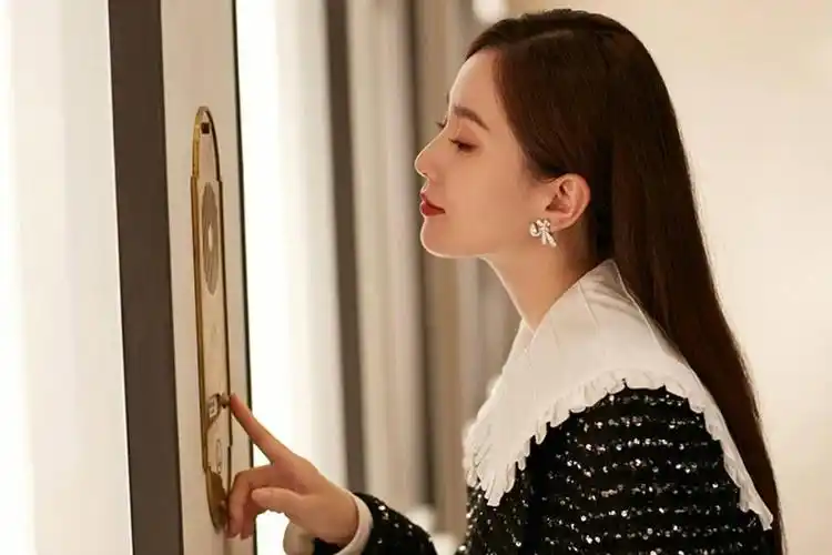 刘诗诗晒侧颜照五官精致