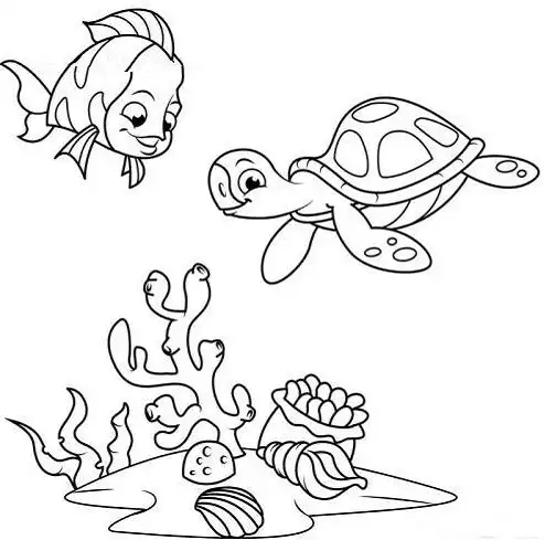 以海底世界为主题的简笔画图片大全 中级简笔画教程-第5张