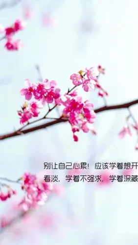别让自己心累!应该学着想开.看淡.学着不强求.学着深藏.