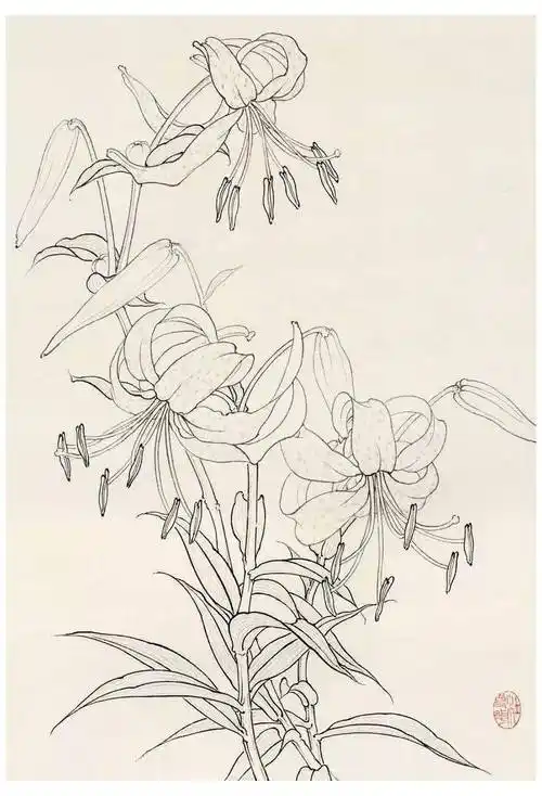 名家教你画白描花鸟