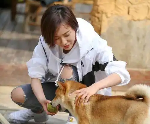 佟丽娅做客《向往的生活》,她做了一个简单的动作,却让粉丝感动