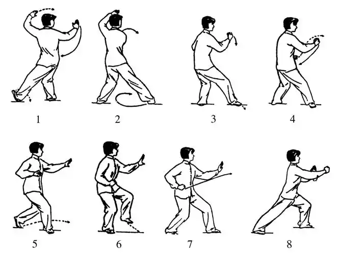 简化太极拳24式的套路介绍