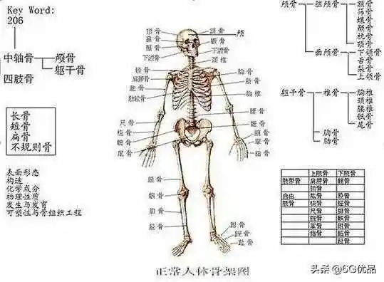 骨架小怎么办骨架大怎么变小