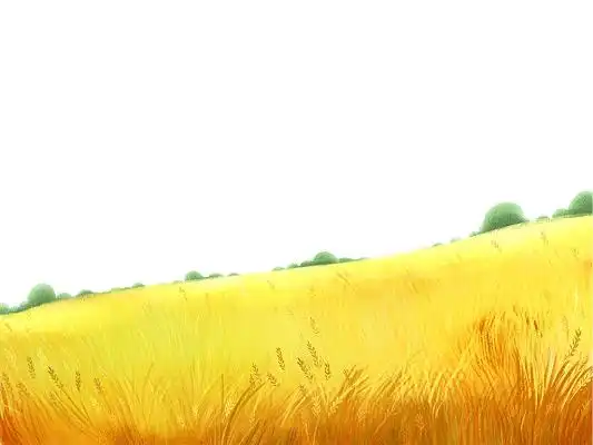 黄色手绘卡通农田稻田元素png素材