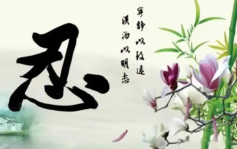 忍是人生最大的赢家深度好文