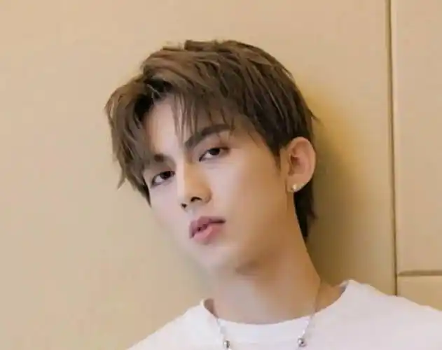 刘昊然野性中分短碎发